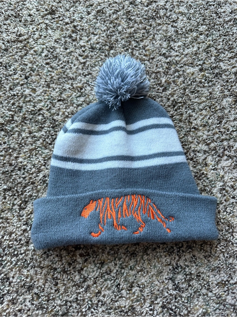 Princeton Tigers embroidered beanie
